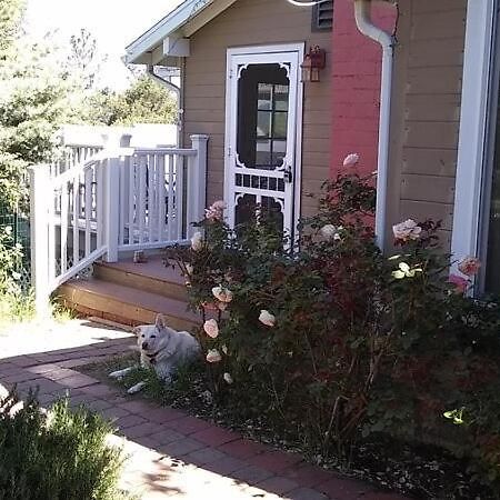 Blue Bird Cottage - Pet Friendlyジュリアン エクステリア 写真