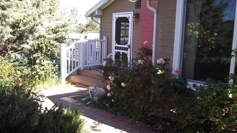 Blue Bird Cottage - Pet Friendlyジュリアン エクステリア 写真